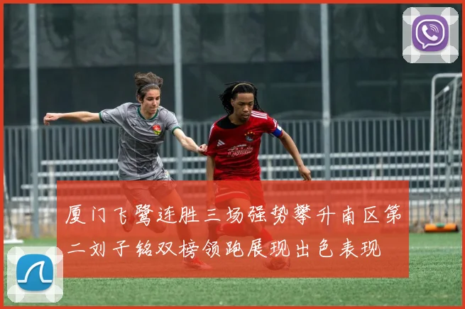 厦门飞鹭连胜三场强势攀升南区第二刘子铭双榜领跑展现出色表现