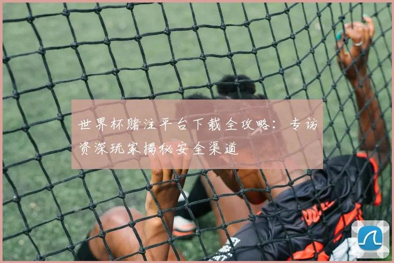 世界杯赌注平台下载全攻略：专访资深玩家揭秘安全渠道
