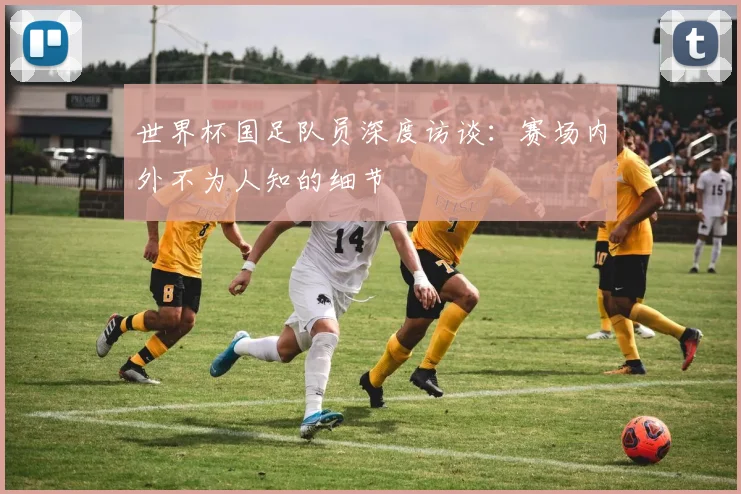 世界杯国足队员深度访谈：赛场内外不为人知的细节