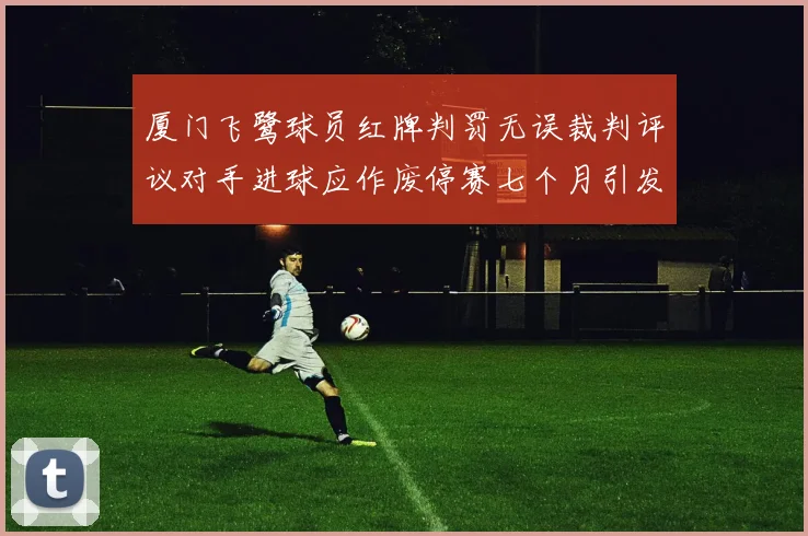 厦门飞鹭球员红牌判罚无误裁判评议对手进球应作废停赛七个月引发热议