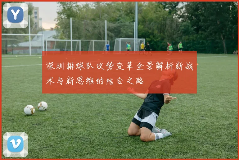深圳排球队攻势变革全景解析新战术与新思维的结合之路