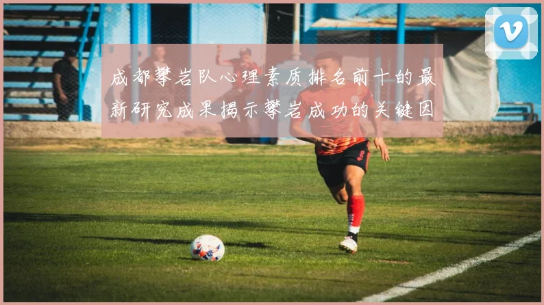 成都攀岩队心理素质排名前十的最新研究成果揭示攀岩成功的关键因素
