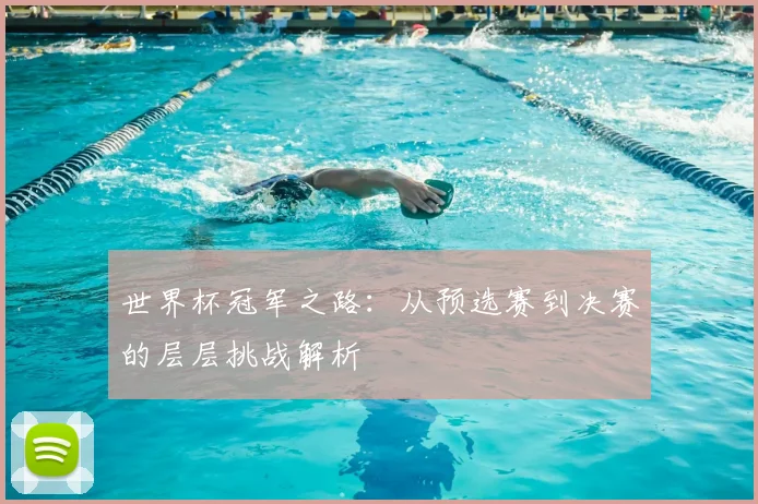 世界杯冠军之路:从预选赛到决赛的层层挑战解析