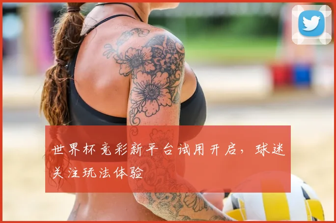 世界杯竞彩新平台试用开启,球迷关注玩法体验