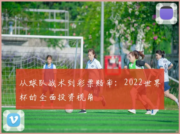 从球队战术到彩票赔率:2022世界杯的全面投资视角