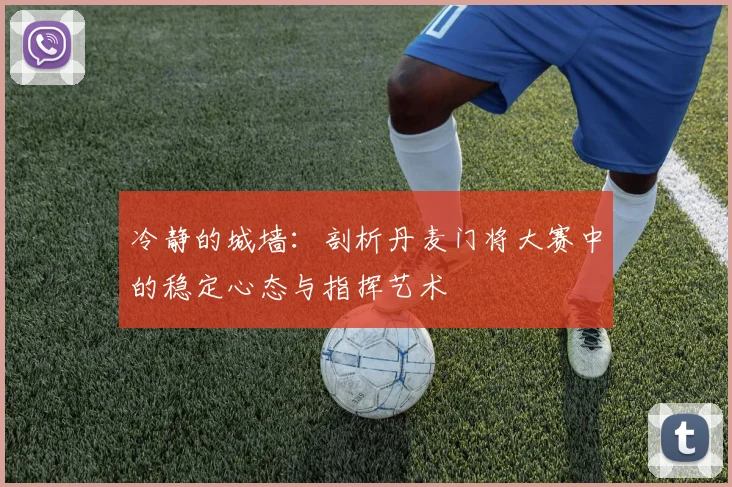 冷静的城墙:剖析丹麦门将大赛中的稳定心态与指挥艺术