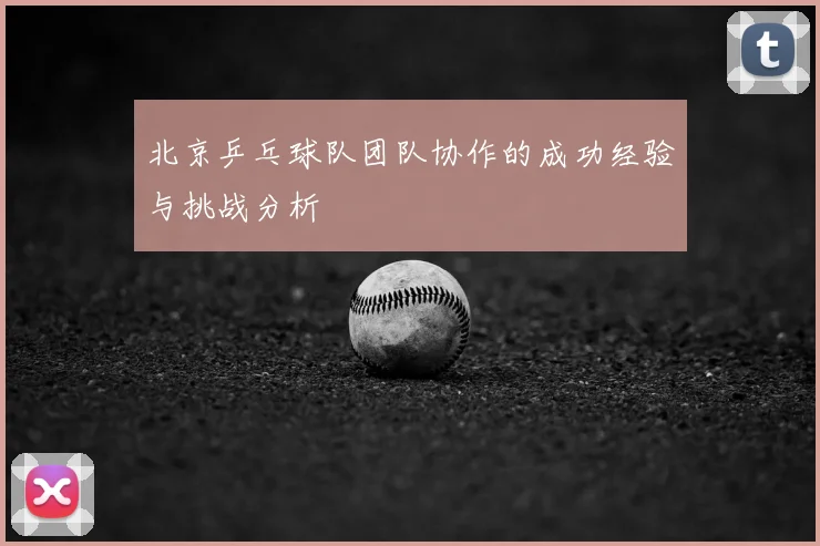 北京乒乓球队团队协作的成功经验与挑战分析