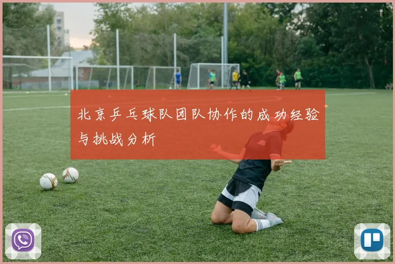北京乒乓球队团队协作的成功经验与挑战分析