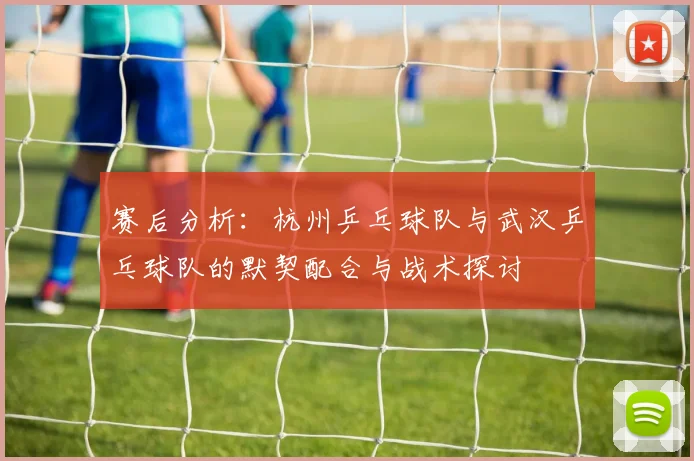 赛后分析：杭州乒乓球队与武汉乒乓球队的默契配合与战术探讨